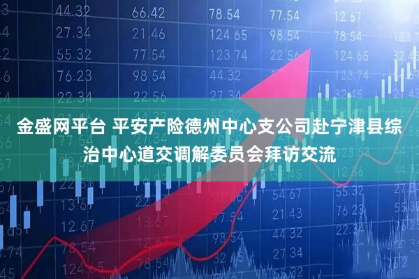 金盛网平台 平安产险德州中心支公司赴宁津县综治中心道交调解委员会拜访交流